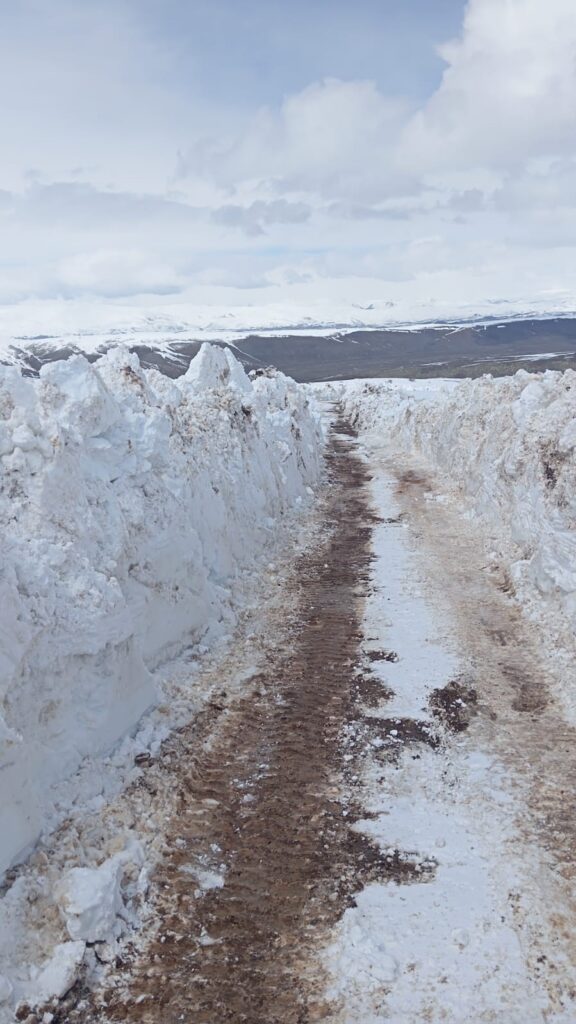 Bingöl’de metrelerce karla mücadele