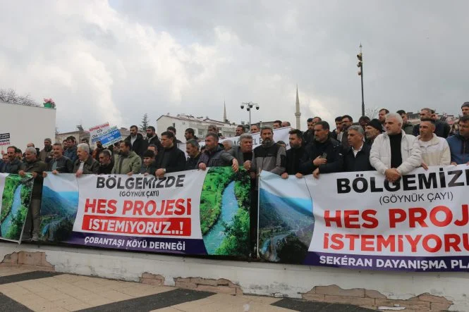 Bingöl’de “Göynük Çayı” İsyanı: “40 Gigawatt İçin Doğamızı Katletmeyin!”