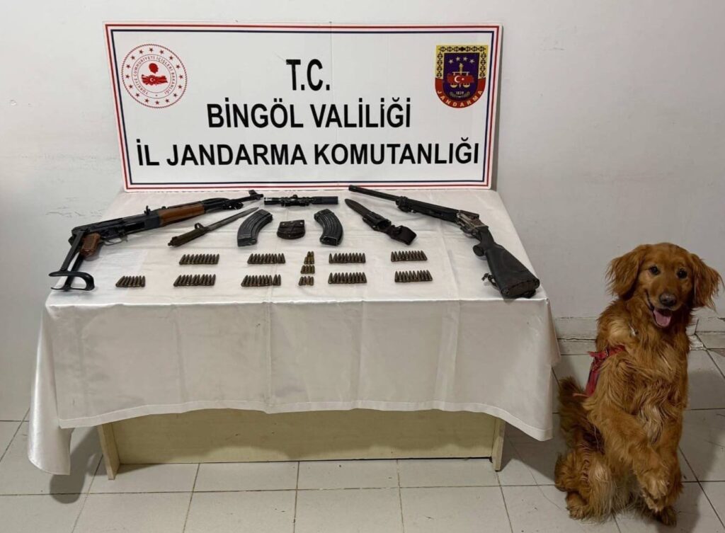 Bingöl Karlıova’da Silah Operasyonu: Çok Sayıda Mühimmat Ele Geçirildi