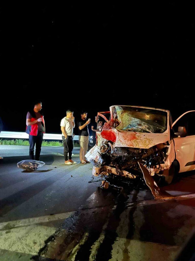 Bingöl’de Feci Kaza: Yola Çıkan At Bir Kişinin Ölümüne Neden Oldu