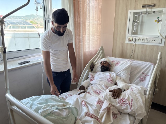 Bingöl’de Mantar Toplarken Ayı Saldırısına Uğradı